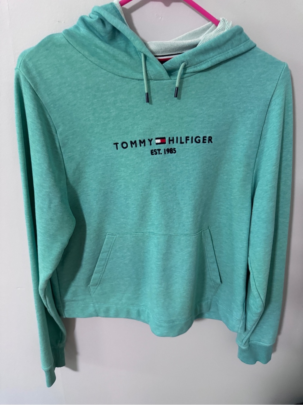 Tommy Hilfiger Mint Green Pullover Hoodie with Flag Trim